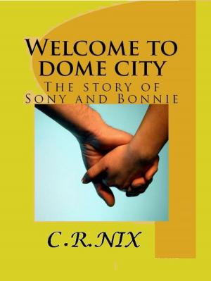 Book cover of Welcome to Dome City: The story of Sonny and Bonnie