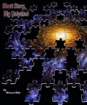 Cover of the book Short Story,Big Universe by Howard Burton