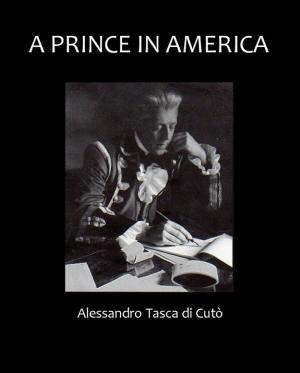Cover of the book A Prince in America by S. Seme