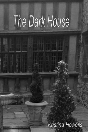 Book cover of The Dark House