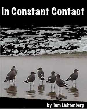 Cover of the book In Constant Contact by Tom Lichtenberg