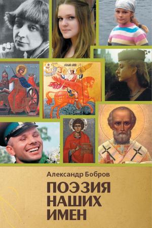 Cover of the book Поэзия наших времен by Анна Барагузина