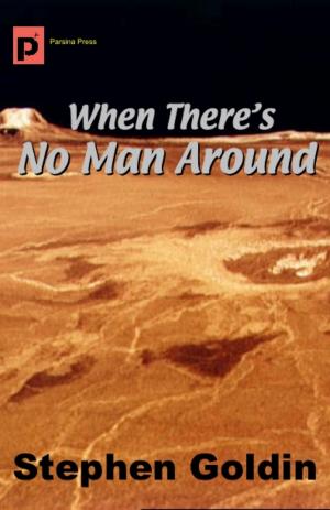 Cover of the book When There's No Man Around by Kathleen Sky and Stephen Goldin