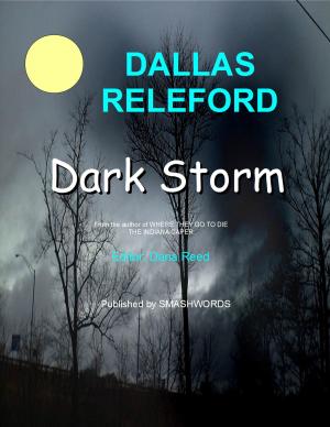Cover of the book Dark Storm by Jeffrey Lee Adams, Tyler Cooper