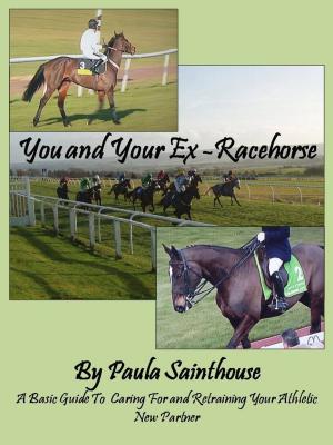 Cover of the book You and Your Ex-Racehorse: A Basic Guide to Caring for and Retraining Your Athletic New Partner by Marc Bekoff
