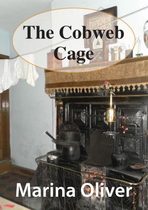 Cover of the book The Cobweb Cage by Anita Mishook