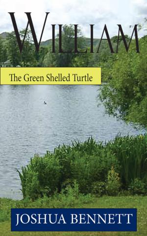 Cover of the book William the Green Shelled Turtle by Kaye Dennan