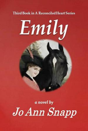 Cover of the book Emily by Brett Hosmer