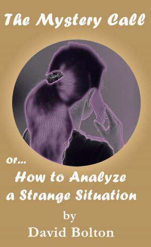 Book cover of The Mystery Call or How to Analyze a Strange Situation