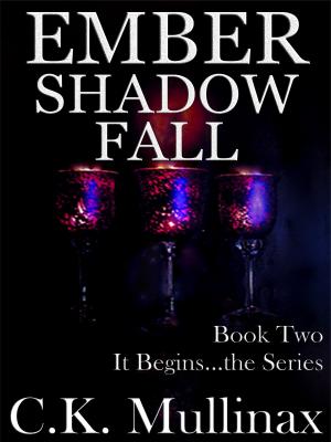 Book cover of Ember Shadow Fall (Book Two)