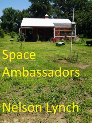 Book cover of Space Ambassadors