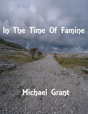 Book cover of In The Time Of Famine