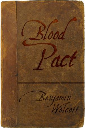 Cover of the book Blood Pact by Tiffany FitzHenry