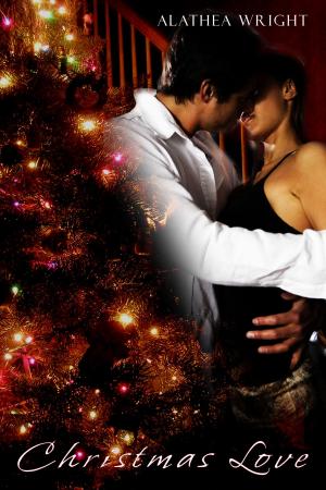 Cover of the book Christmas Love by Elizabeth Carlos