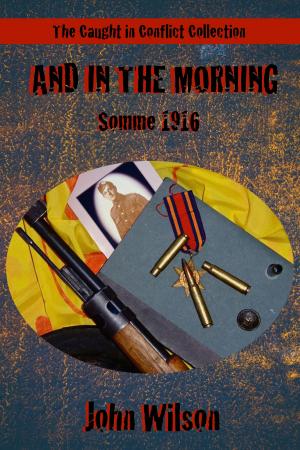 Cover of the book And in the Morning: Somme, 1916 by John Wilson