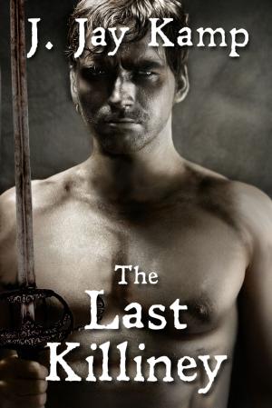 Cover of the book The Last Killiney by Linda Tiernan Kepner