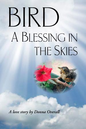 Cover of the book Bird: A Blessing in the Skies by Sally Thibault