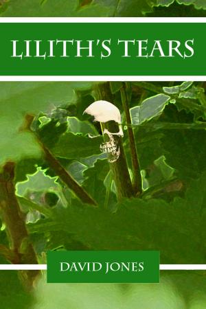 Book cover of Lilith's Tears