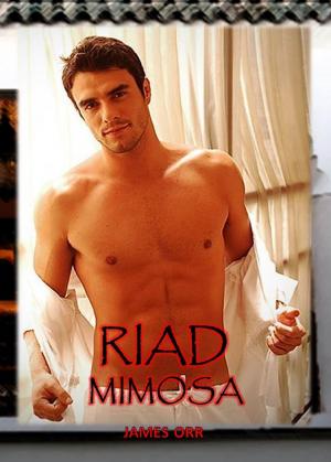 Cover of the book Riad Mimosa by Max Ravenscroft