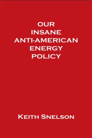 Cover of the book Our Insane Anti-American Energy Policy by C. Scott Litch