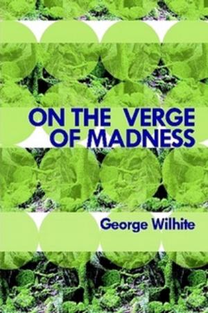 Book cover of On the Verge of Madness