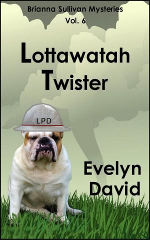 Cover of the book Lottawatah Twister by Kristine Frost