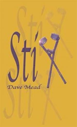 bigCover of the book Stix by 