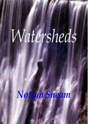 Cover of the book Watersheds by Trick D Barrett