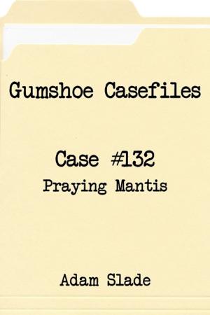 Cover of Gumshoe Casefiles: Case 132