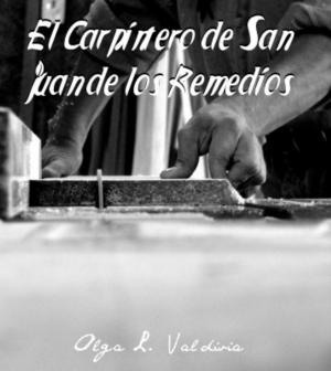Cover of the book El Carpintero de San Juan de los Remedios by Robert James Allison