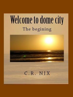 Cover of the book Welcome to dome city-The Begining by J.E. Hunter