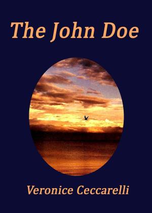 bigCover of the book The John Doe by 