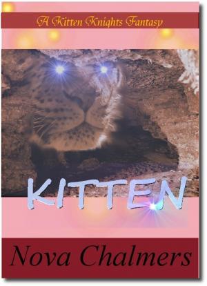 Book cover of Kitten