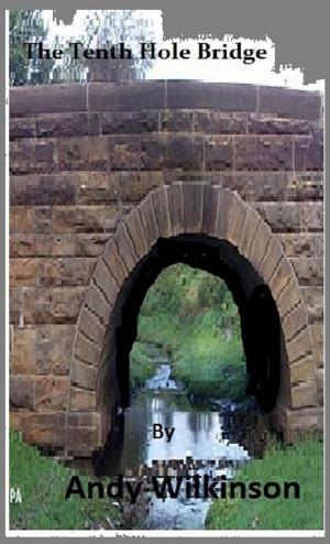Book cover of The Tenth Hole Bridge