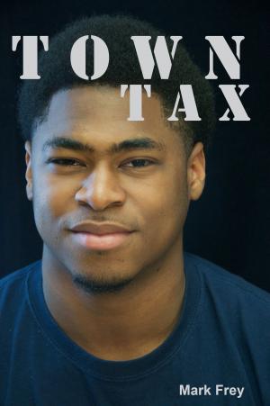 Cover of the book Town Tax by Elle Anor