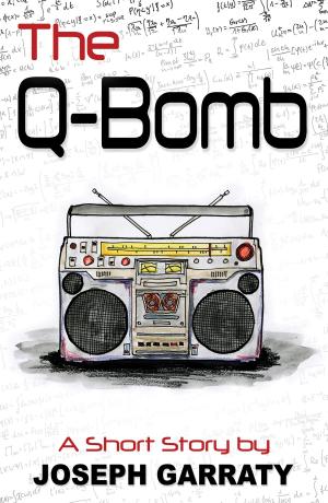 Cover of the book The Q-Bomb by Elizabeth Lenz