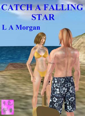 Cover of the book Catch A Falling Star by Lexi Black