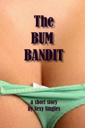bigCover of the book The Bum Bandit by 