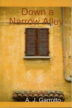 Cover of the book Down a Narrow Alley by Howard Weiner