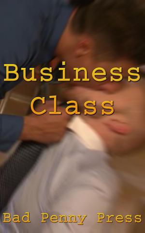 bigCover of the book Business Class by 