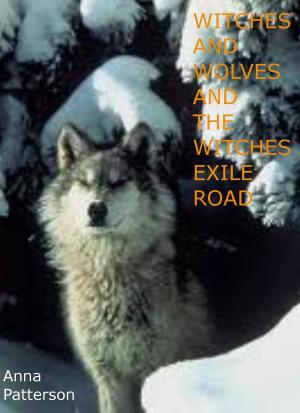 Book cover of Witches and Wolves and the Witches Exile Road