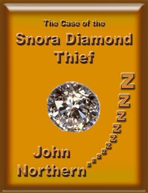Cover of the book The Case of the Snora Diamond Thief by Marvin Perkins