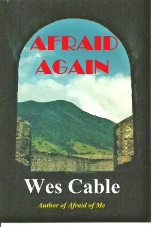 Cover of the book Afraid Again by Colin Marks