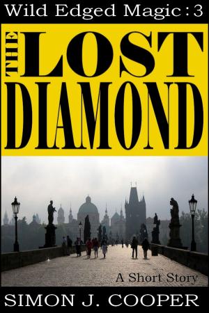 Book cover of The Lost Diamond
