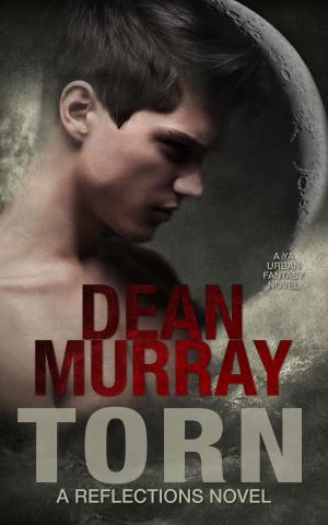 Book cover of Torn: A YA Urban Fantasy Novel (Volume 2 of the Reflections Books)