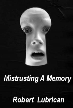 Cover of the book Mistrusting A Memory by Robert Lubrican, Stormy Weather