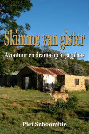 Book cover of Skimme van Gister