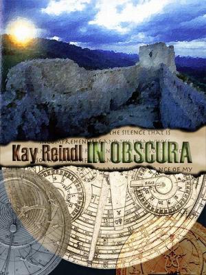 Cover of the book In Obscura by Joanne Lecuyer