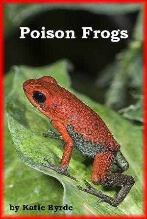 Cover of the book Poison Frogs by Katie Byrde