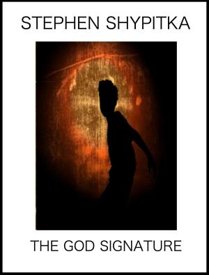bigCover of the book The God Signature by 